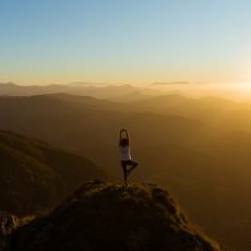 Eight limbs of yoga; Yoga Sutra; Hatha Yoga Pradipika; Patanjali; asana; yoga poses; yoga postures; posture names; meaning of asana; dynamic asanas; static asanas; types of asana; types of postures; seated asanas; kneeling asanas; standing asanas; inverted asanas; backbends; twisting asanas; balancing asanas.